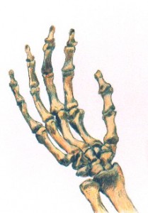 Hand Bones, copyright 1997 Michael D. Smith